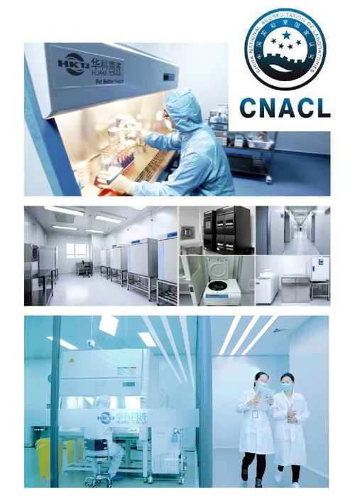 免疫细胞大军 兢兢业业的健康卫士与前沿细胞技术的应用