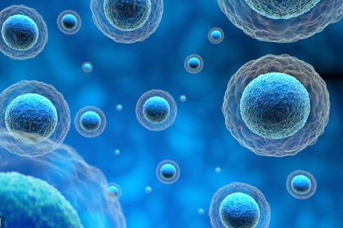 昆明发布“胞十条”，以政策引领细胞产业高质量发展新篇章