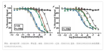 ADCC细胞技术 从delfia经典技术到现代单抗与细胞治疗的创新融合